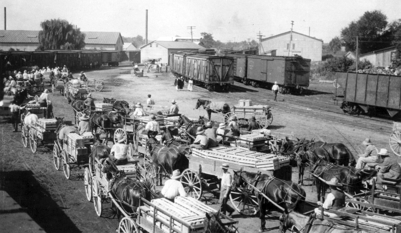 A loading yard in Seaford, Delaware (1917) showing people with loads of peaches, cantaloupes, and watermelon.