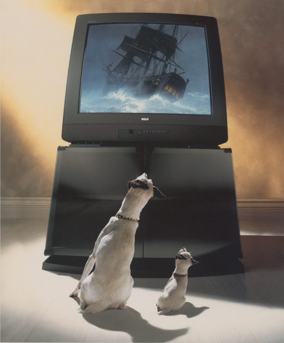 Chipper and Nipper sit in front of a tv watching a ship on screen