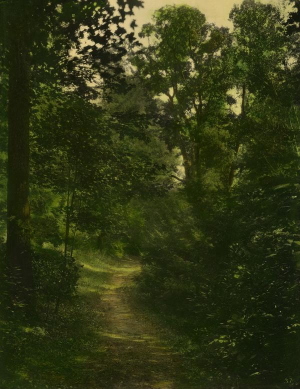 Color photograph of a dirt path through a wooded landscape.