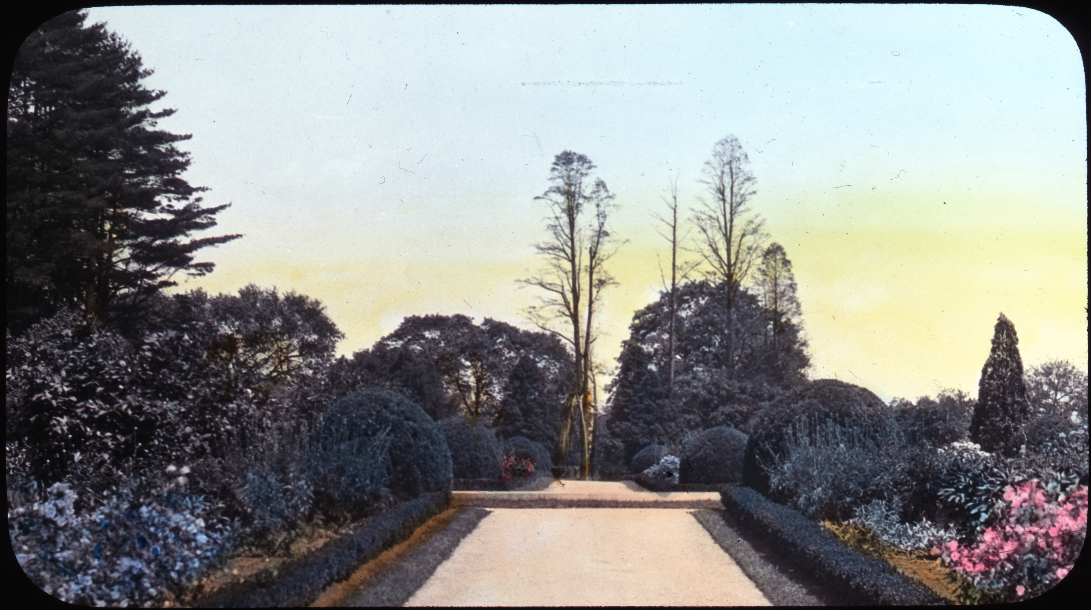 Hand-colored lantern slide showing a garden pathway at the Upper Gardens at Longwood.