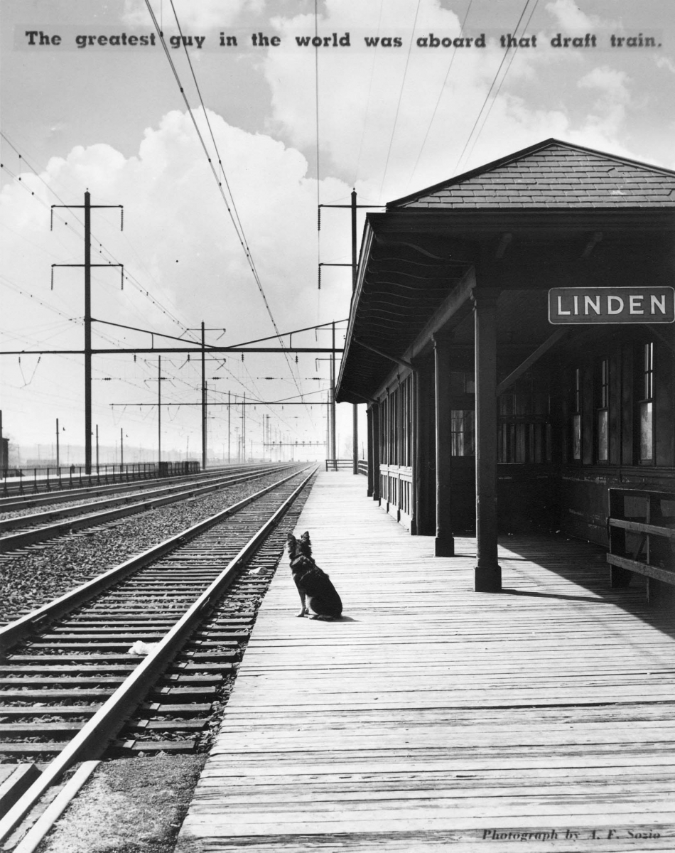 A dog sits alone on a train platform looking down the empty tracks. The caption reads: "The greatest guy in the world was aboard that draft train."