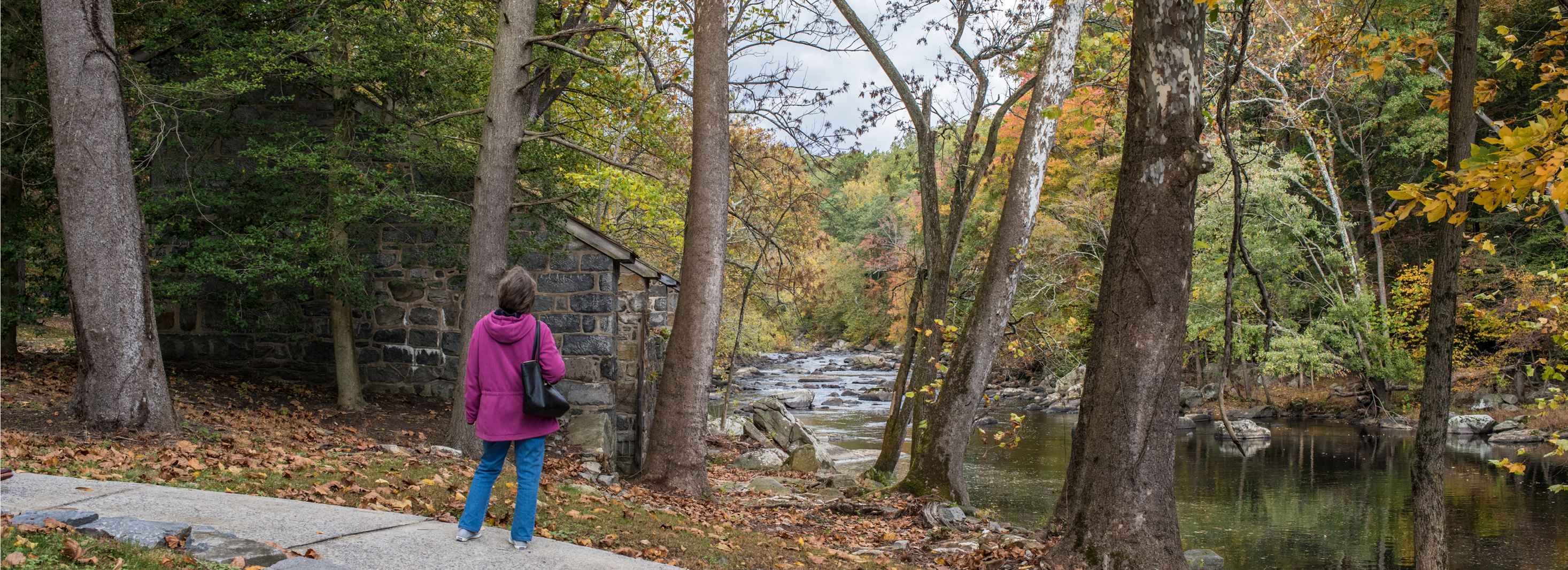 Hagley Fall Brandywine