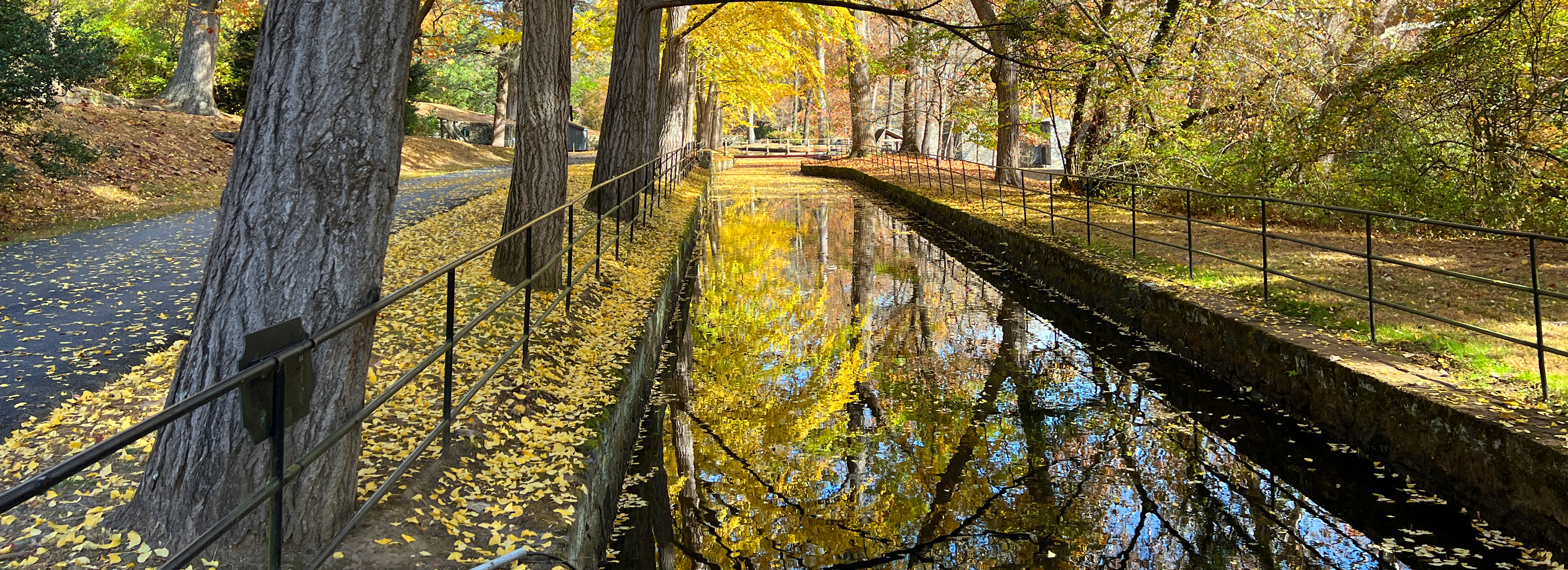 Hagley Fall Millrace