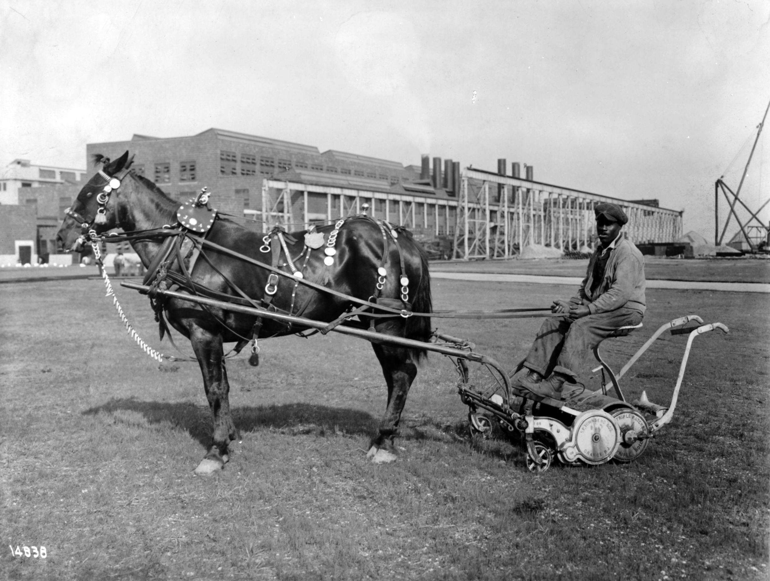 Black and white image of a man seated in a horse-drawn lawnmower.