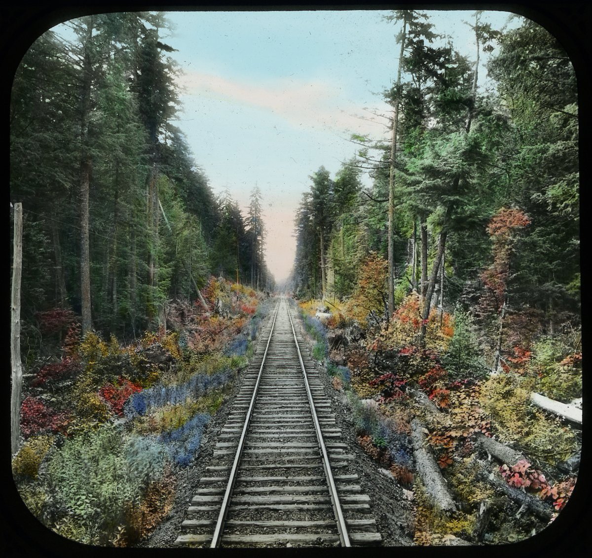 Hand colored glass slide showing a long stretch of railroad surrounded by forests and flowers.