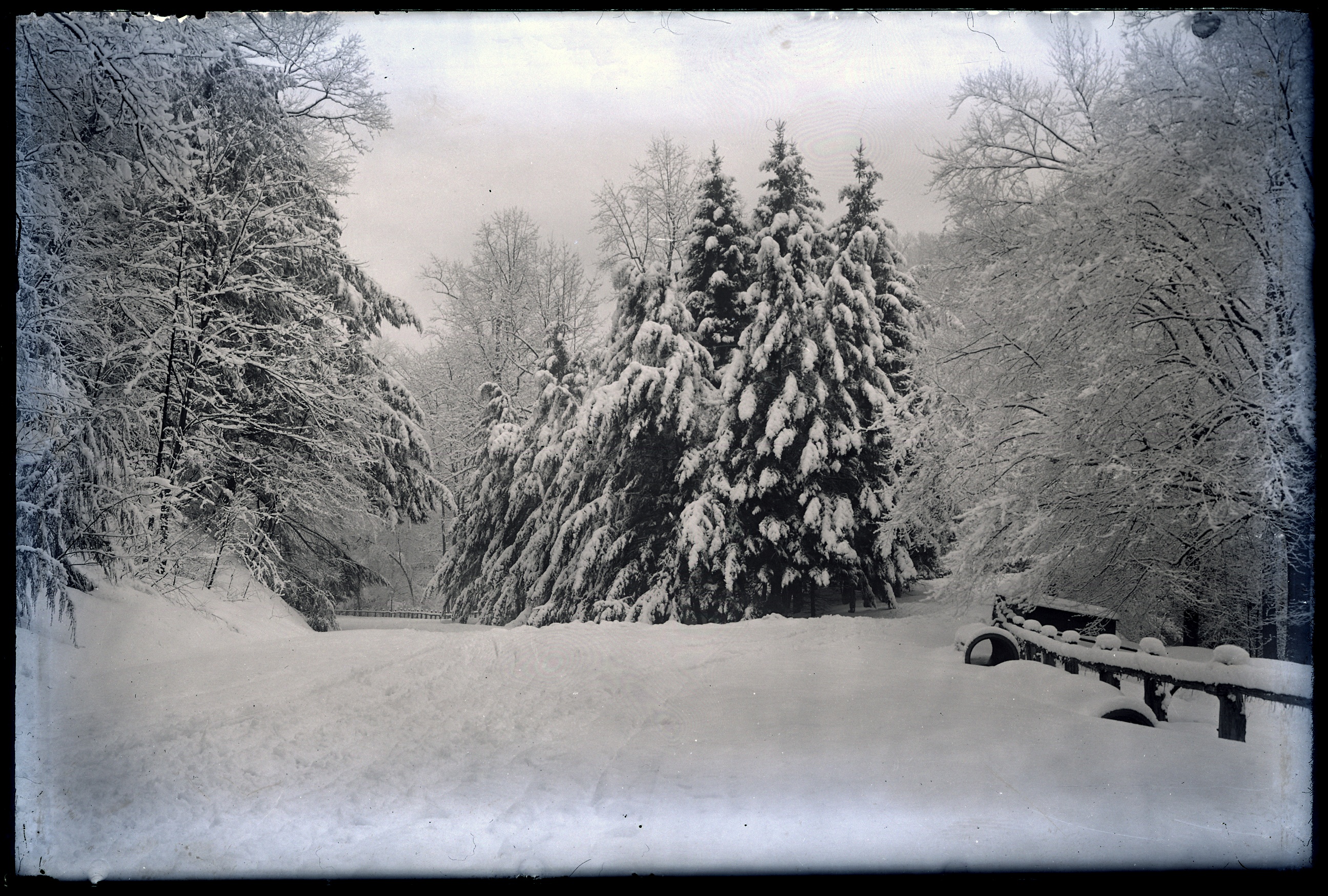 Glass negative image of a snow-covered, unidentified section of Philadelphia's Fairmount Park system.