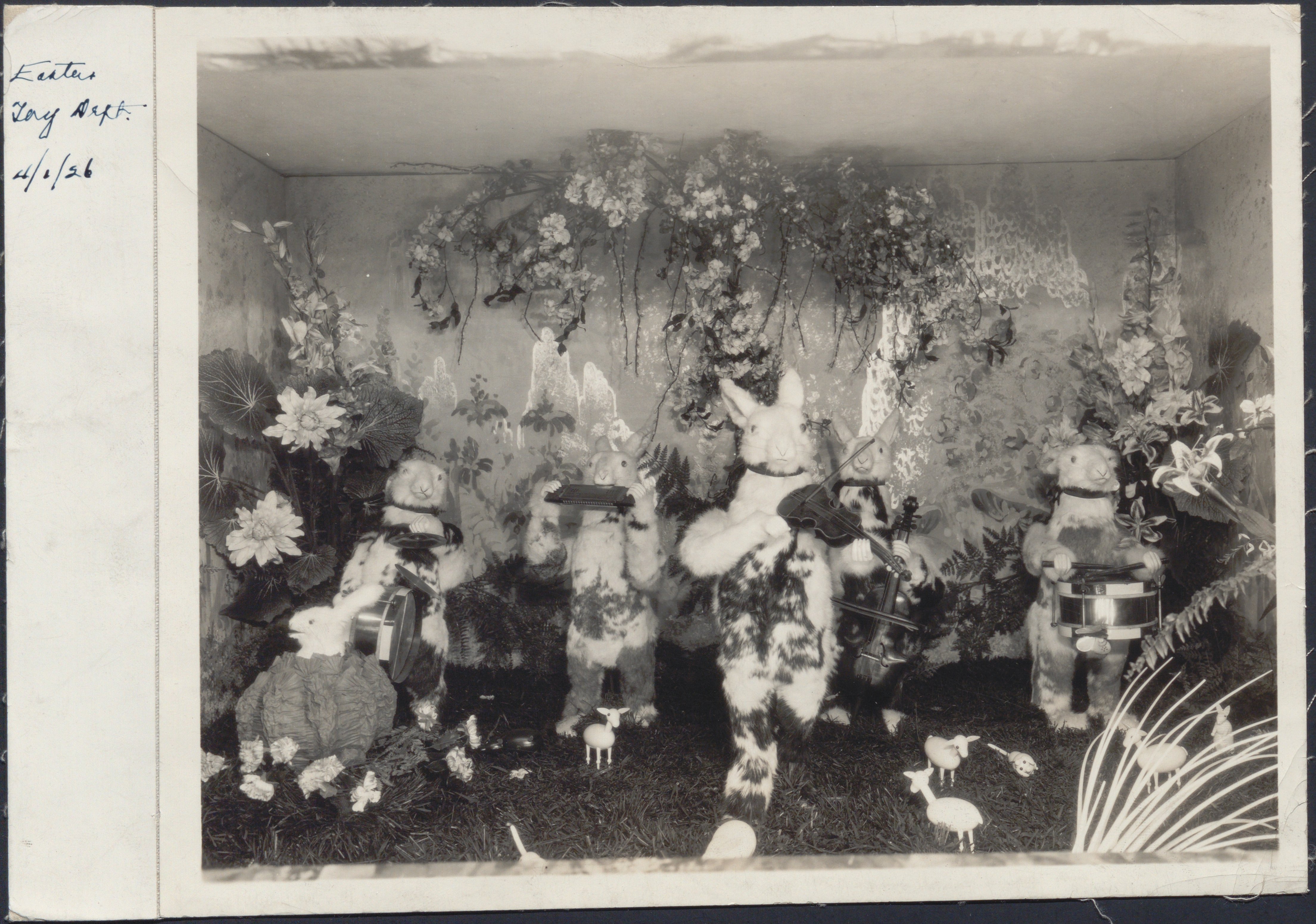 Black and white image of an Easter themed department store show window; bunnies with musical instruments.