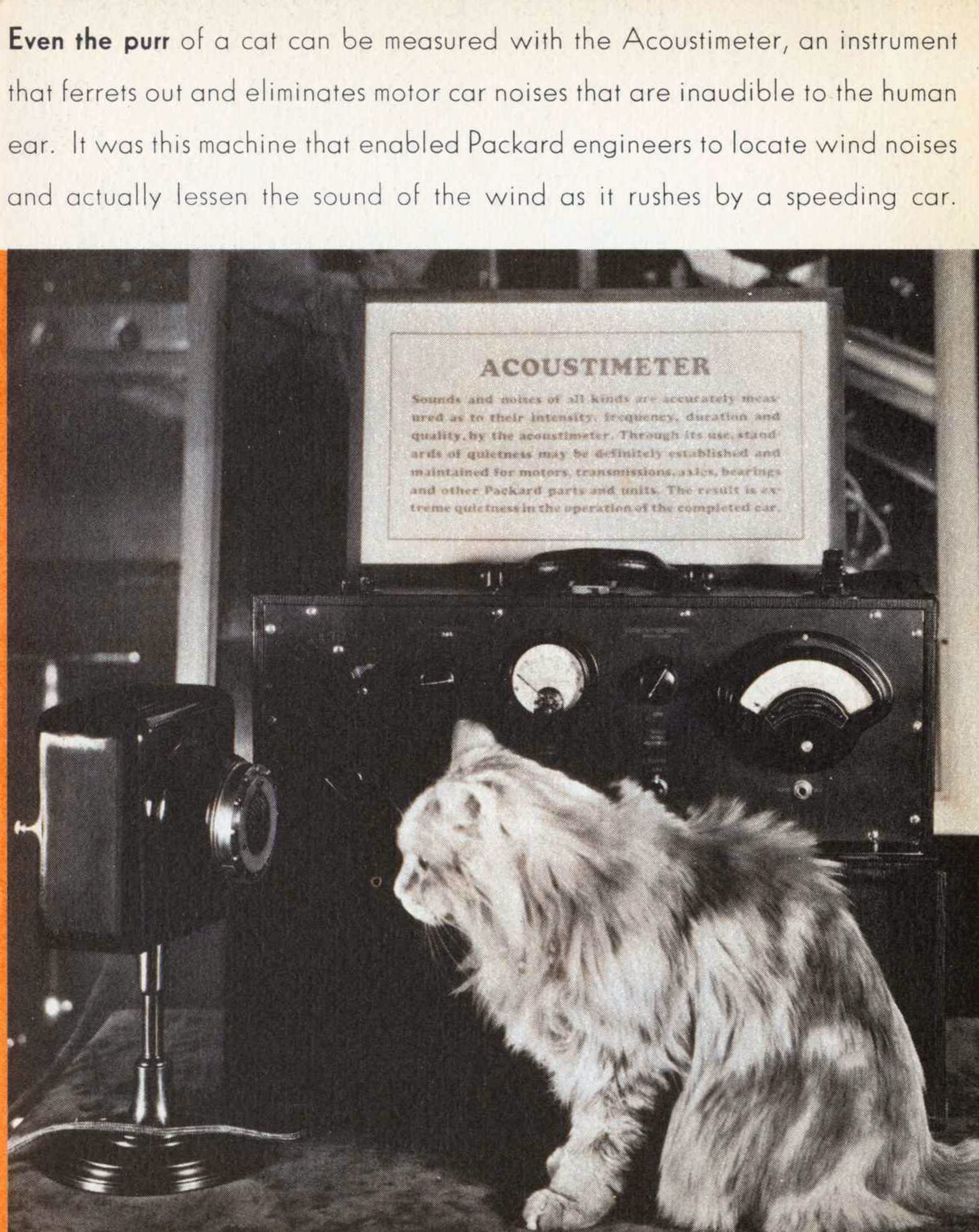 Image of a cat posed in front of an acoustimeter.