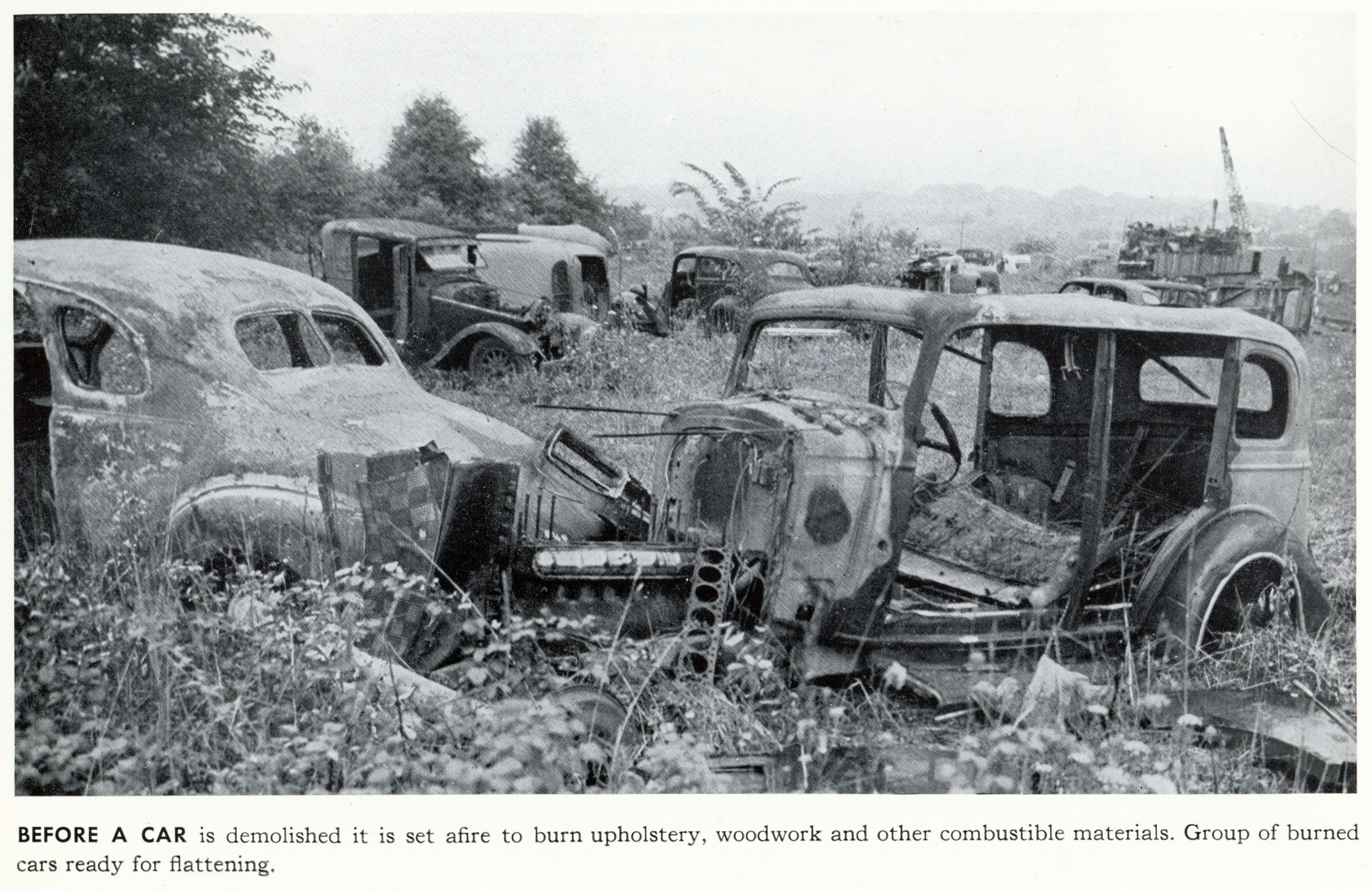 Black and white photograph of scrapped automobiles after being burned.