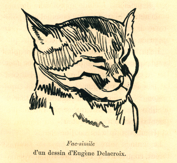 An illustration of a cat