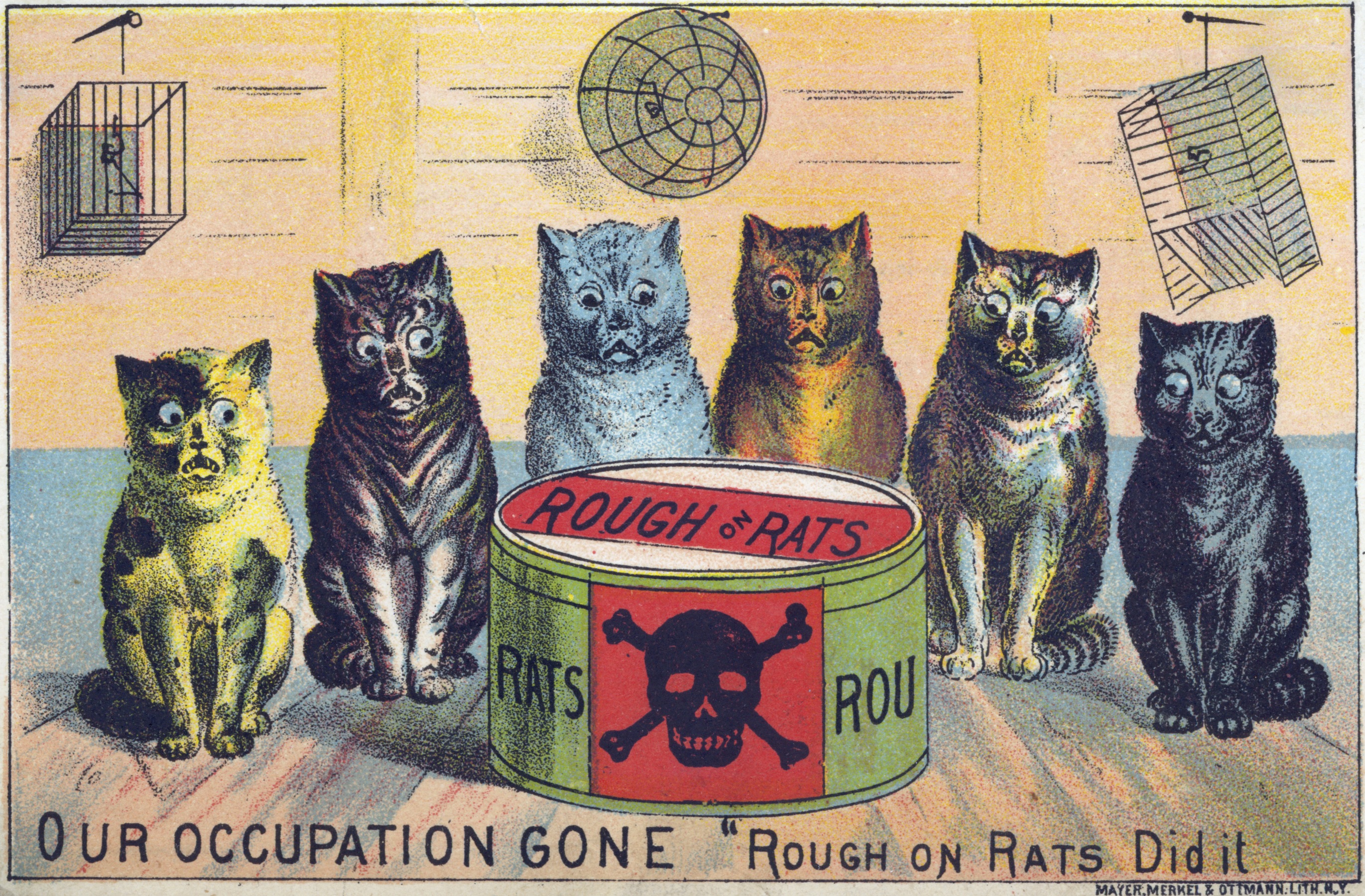 Advertising card featuring an illustration of dismayed looking cats surrounding a tin of rat poison.