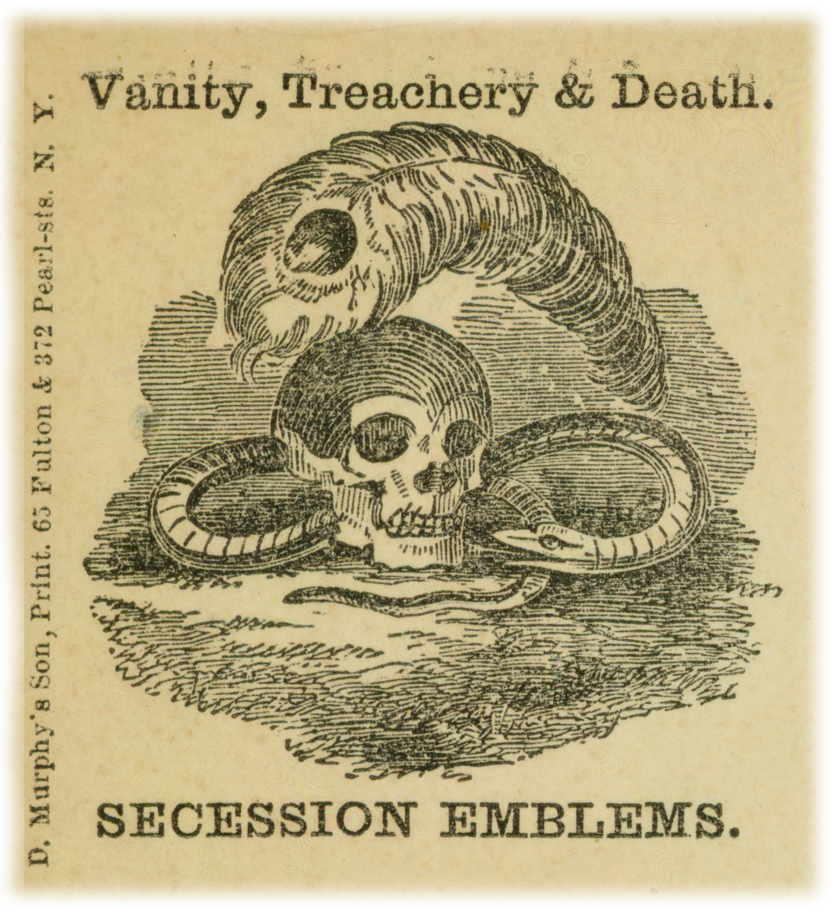 Drawing of a peacock feather, skull, and snake. Text reads 'Vanity, Treachery & Death - Secession Emblems'