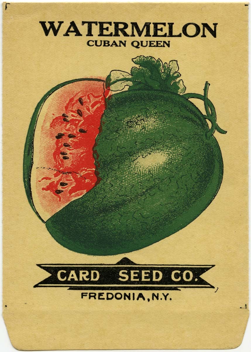 Seed packet from the Card Seed Co for 'Cuban Queen' variety watermelons.