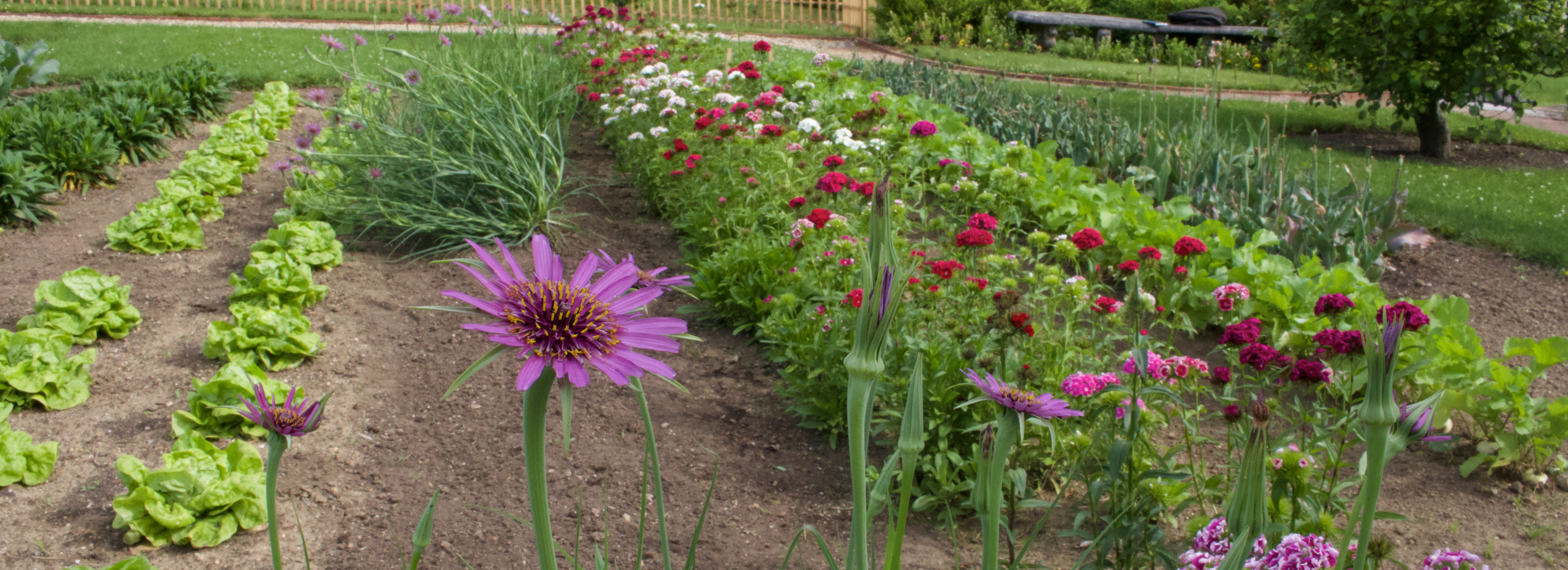 E. I. du Pont Garden at Hagley 