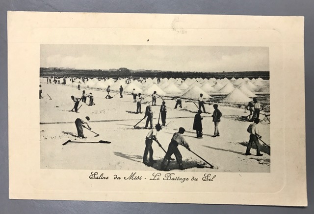 Salt in piles being harvested