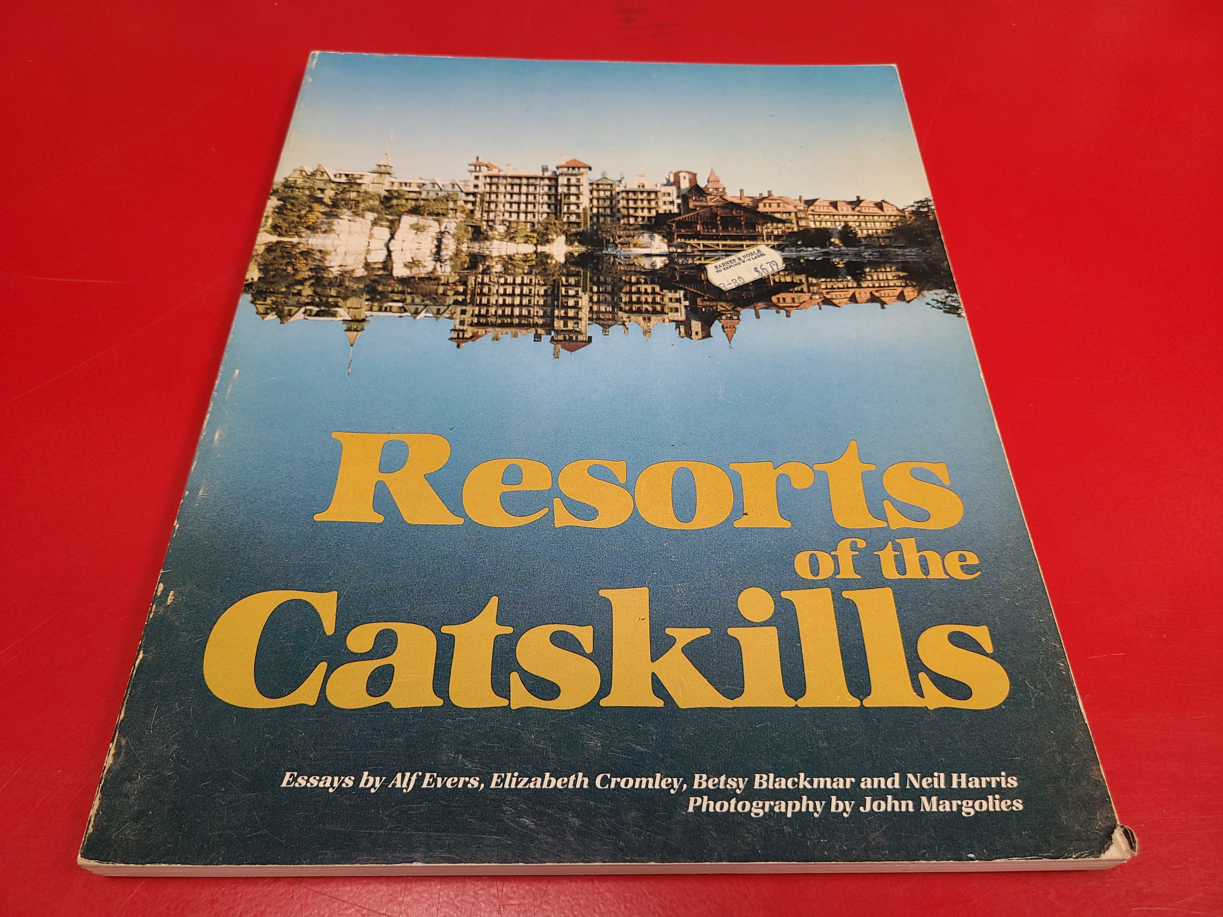 Cover of Resorts in the Catskills