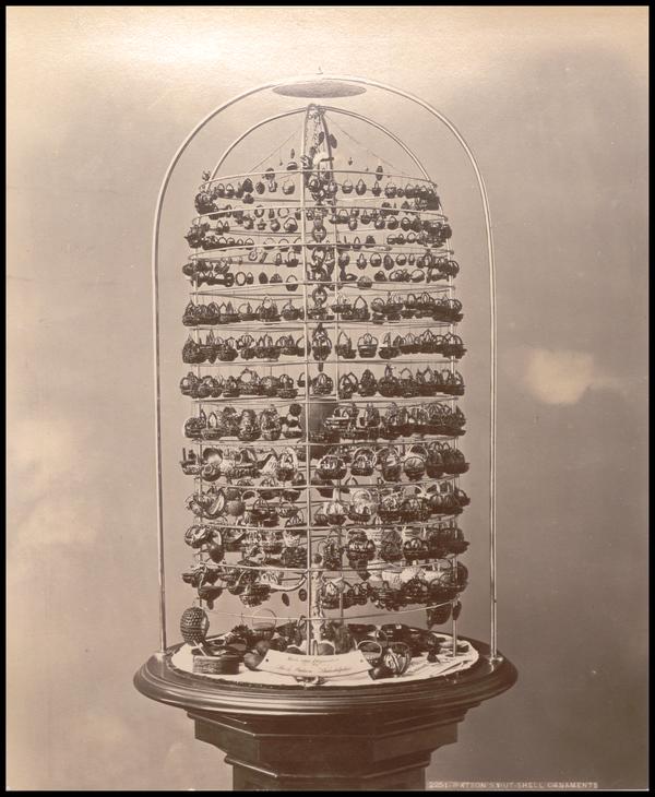 Black and white photo of a bell jar display containing a large number of small ornaments carved from nutshells.
