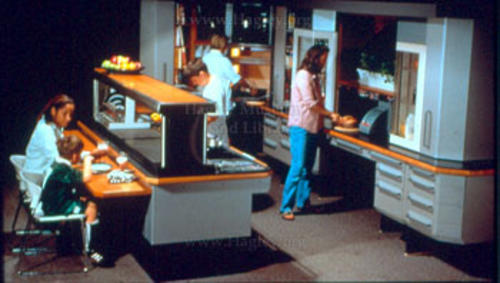 People using a kitchen.