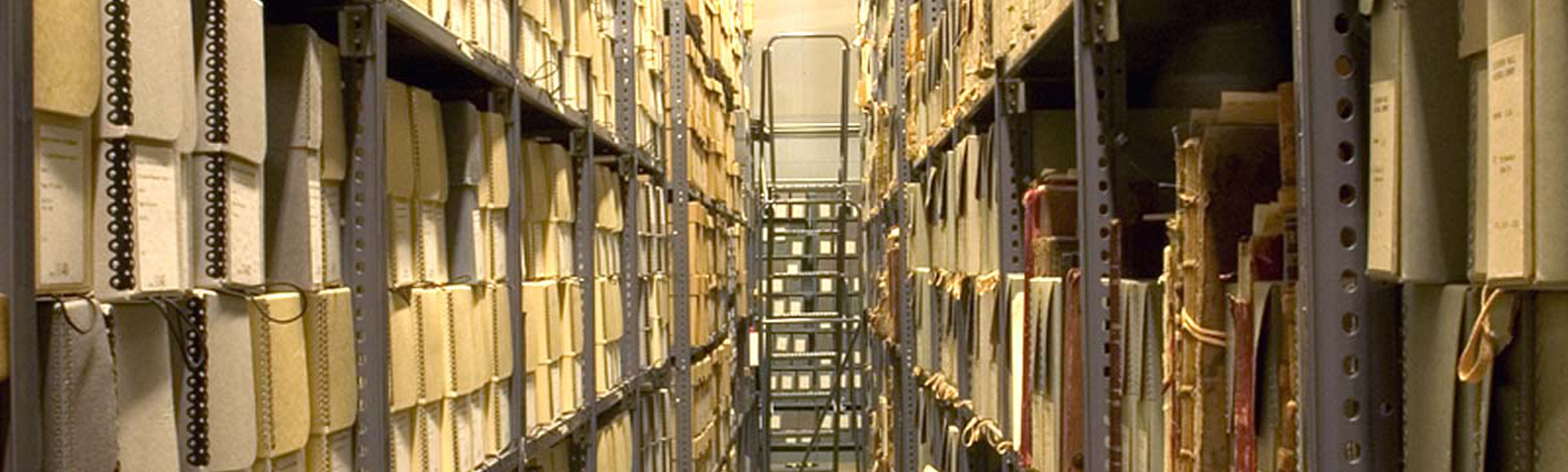 Library Stacks