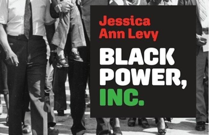 Cropped Cover of Black Power Inc. By Jessica Ann Levy