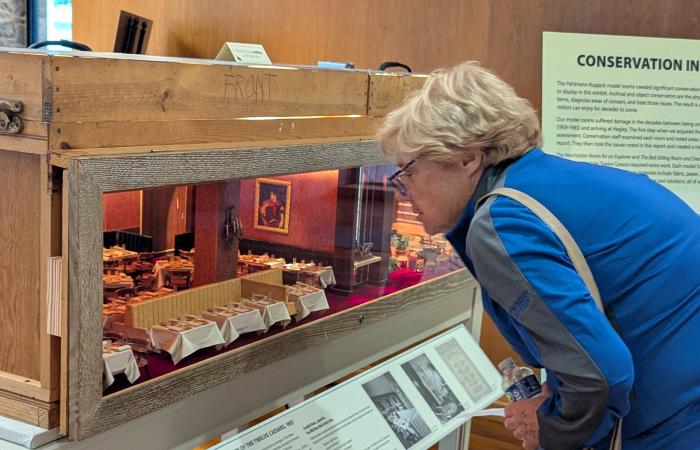Library guest viewing exhibit