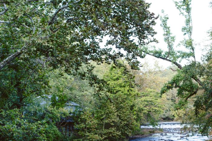 The Brandywine at Hagley Museum and Library