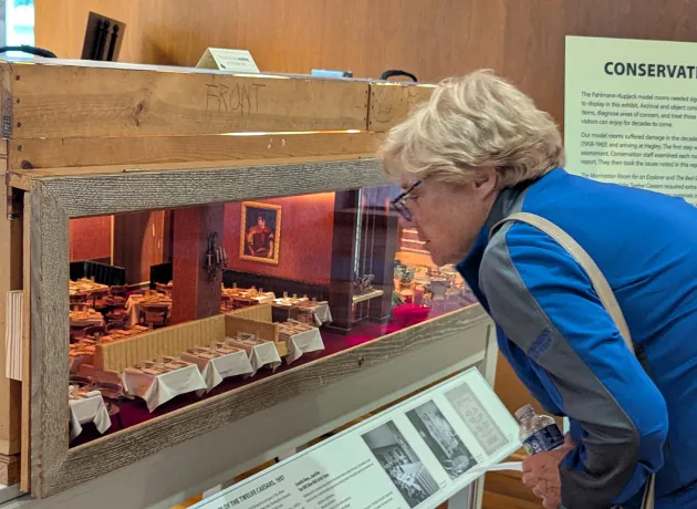 Library guest viewing exhibit