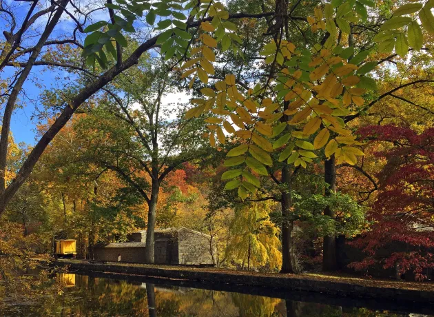 hagley-fall-brandywine (adam albright)-011-print.jpg