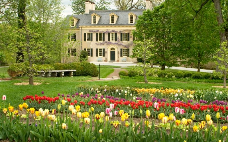 garden-10-residence.png