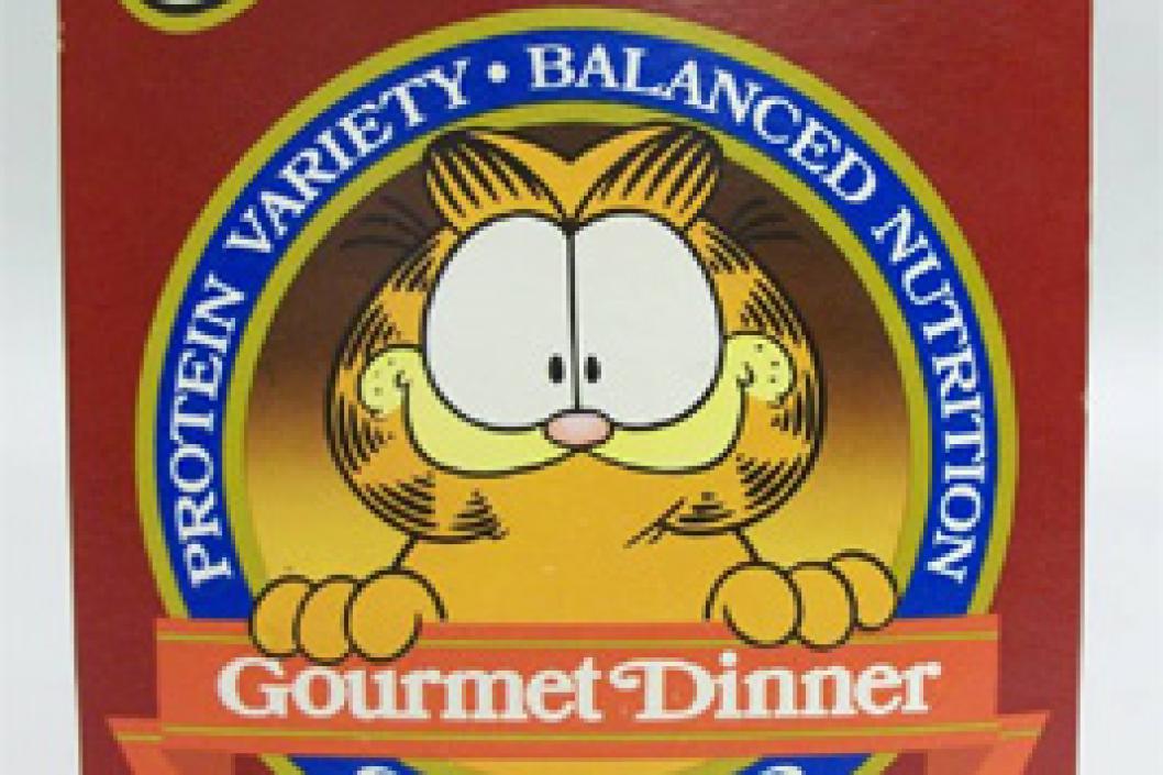 Brand Ambassador Garfield the Cartoon Cat