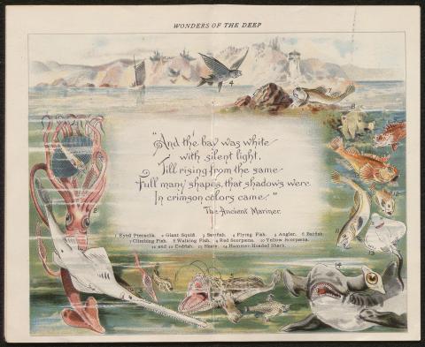 Illustration of various sea creatures arranged around a quote from The Ancient Mariner.