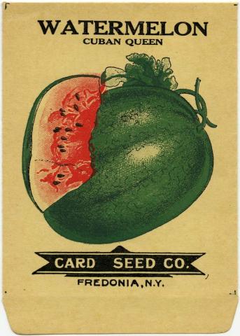 Watermelon.jpg