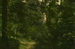Color photograph of a dirt path through a wooded landscape.