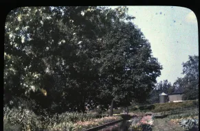 Reflecting pool bordered by colorful flowerbeds, with trees in the background,