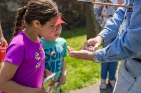 K-5 - Hands on History