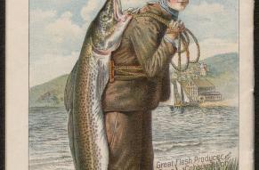 Advertisement for cold liver oil. Illustration of a man carrying a very large codfish on his back.