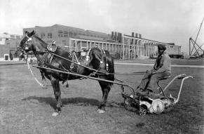 Black and white image of a man seated in a horse-drawn lawnmower.