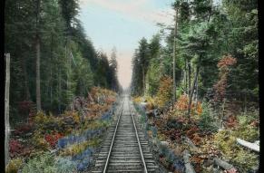 Hand colored glass slide showing a long stretch of railroad surrounded by forests and flowers.