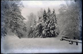 Glass negative image of a snow-covered, unidentified section of Philadelphia's Fairmount Park system.