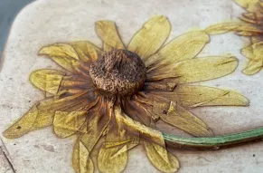 Beautiful Botanicals LLC.jpg
