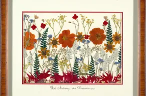 De Mon Jardin-2.jpg