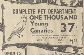 Newspaper clipping advertising "One Thousand Young Canaries" with illustrations of a bird and squirrel.