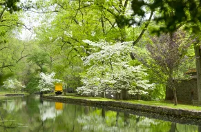 hagley-backgrounds-03.jpg