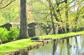hagley-backgrounds-04.jpg