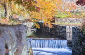 hagley-backgrounds-07.jpg