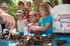 hagley-creek-kids-leaf-packs-rgb9.jpg