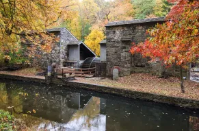 hagley-fall-property-2015-11-02-034.jpg
