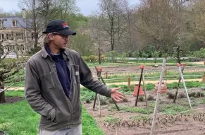 image-garden-video-2021-04-20.jpg